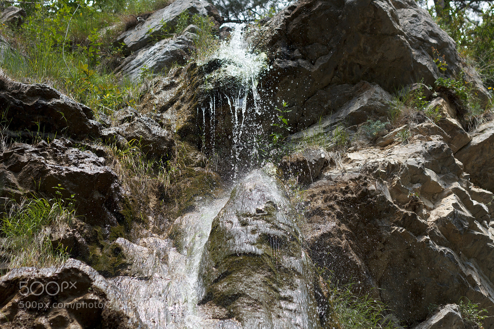 Canon EOS 60D sample photo. Img photography