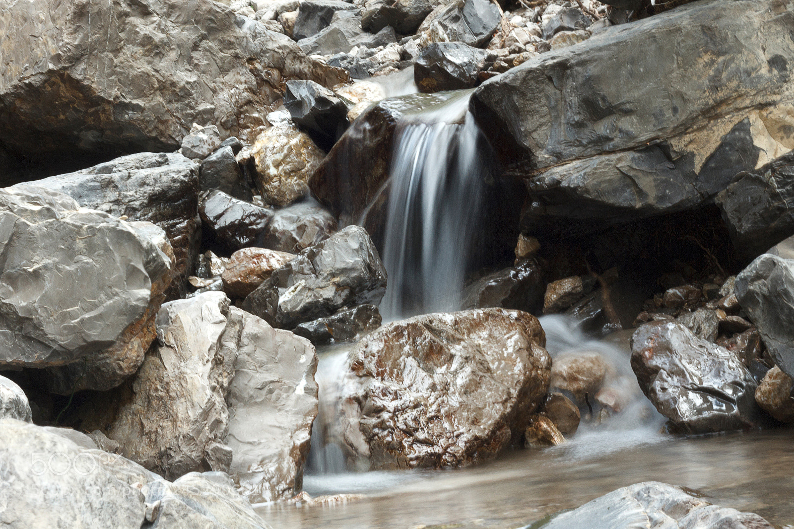 Canon EOS 60D sample photo. Img photography