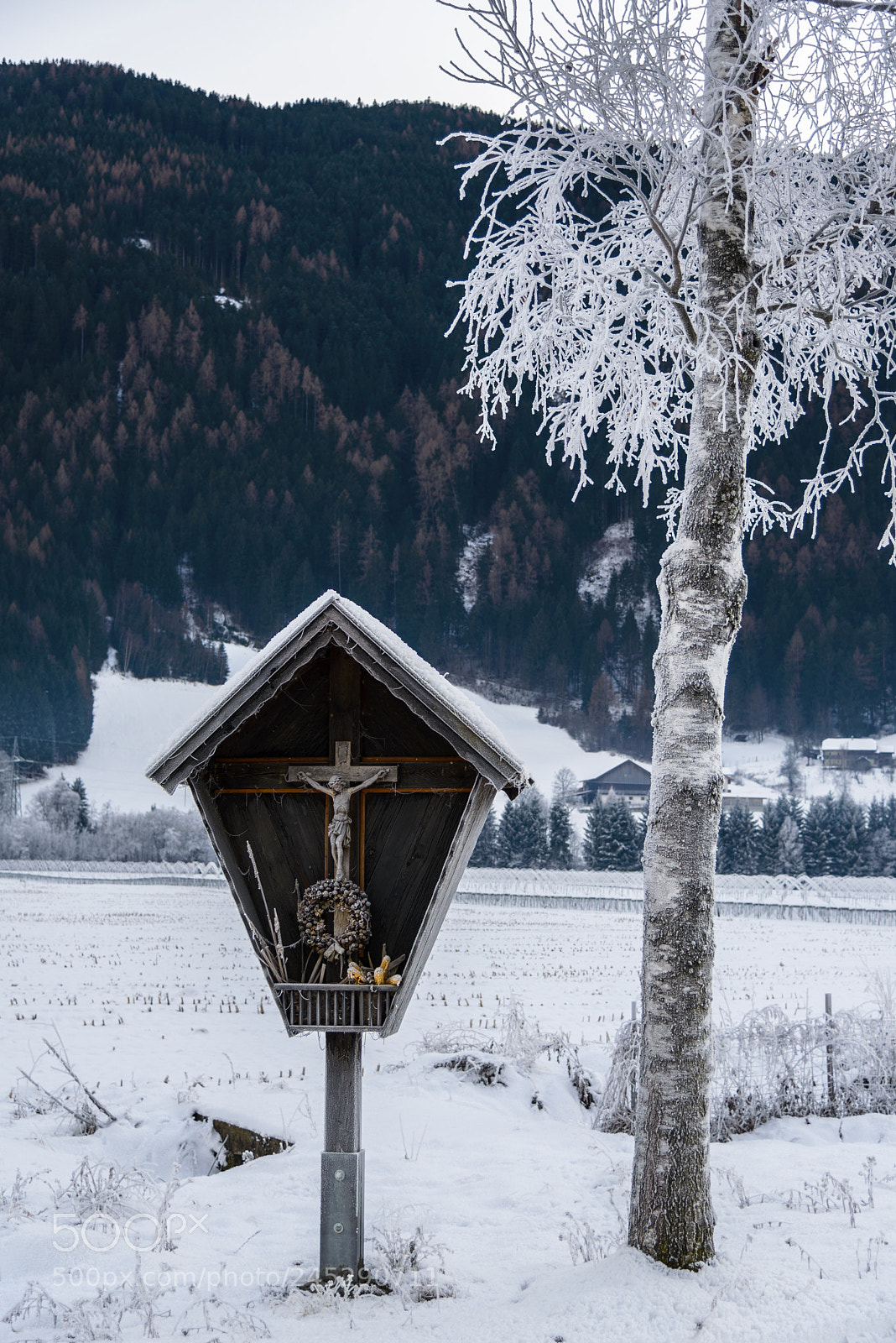 Nikon D610 sample photo. Religion photography