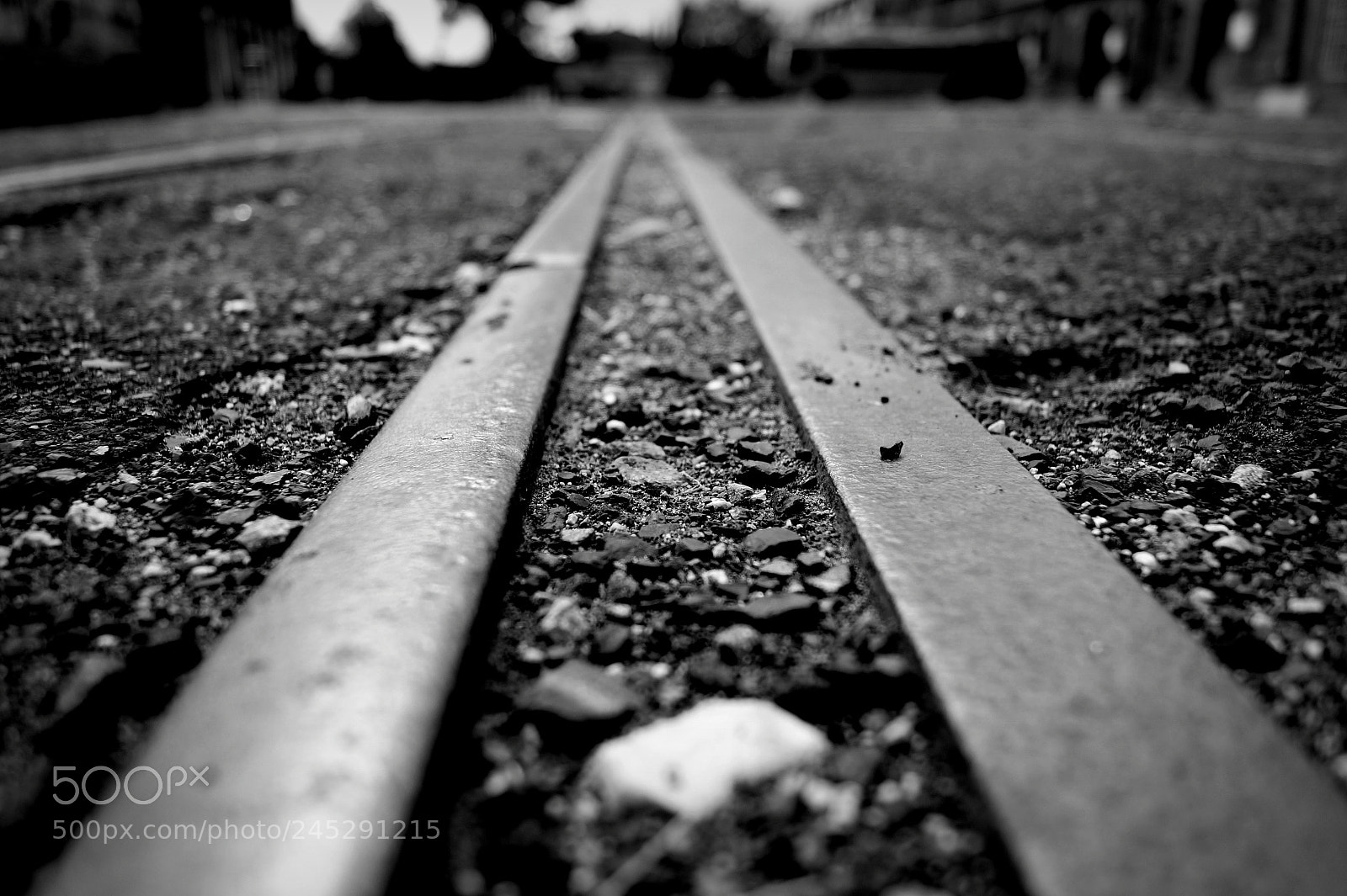 Sony SLT-A58 sample photo. Untitled photography