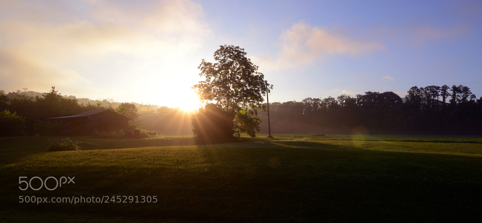 Nikon D800 sample photo. Cbf edcdd d photography