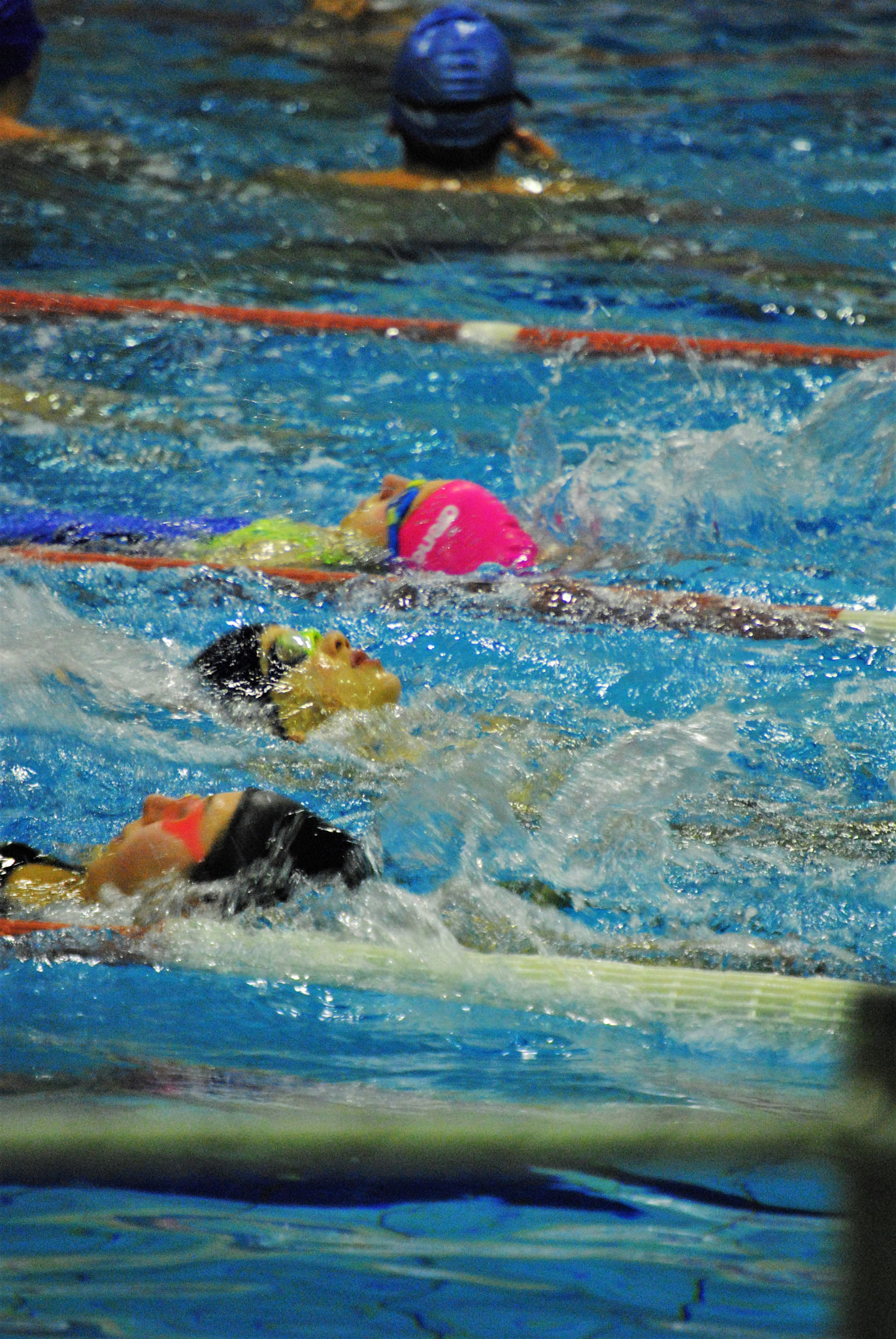 Nikon D3000 sample photo. Swimming photography