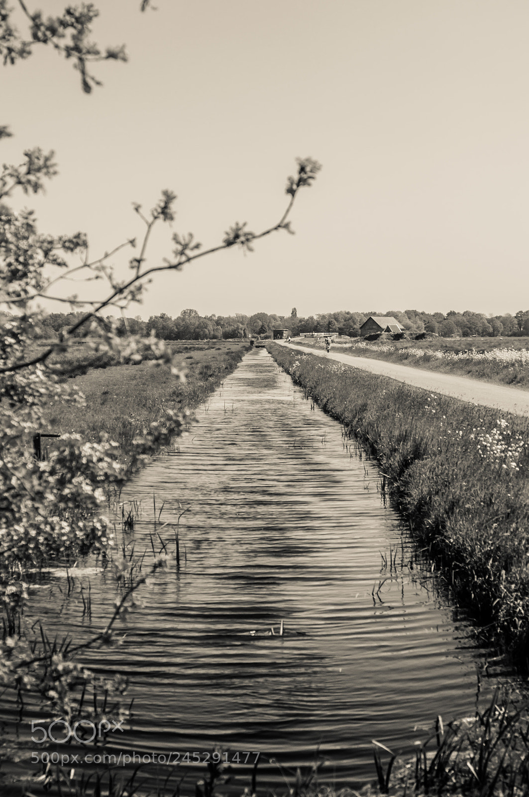Nikon D90 sample photo. Vintage water photography