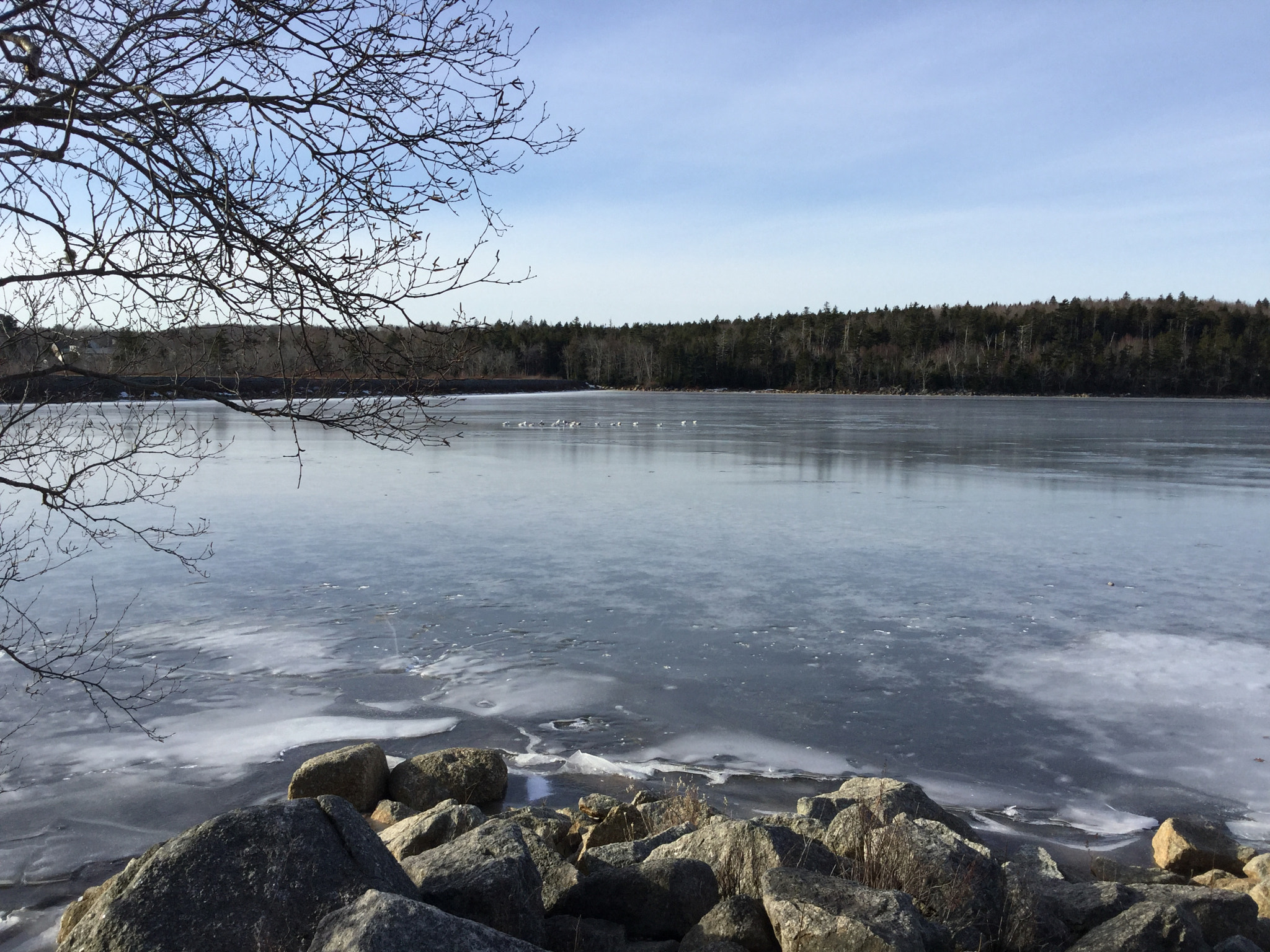 Apple iPad mini 4 sample photo. Winter in herring cove, ns!   photography