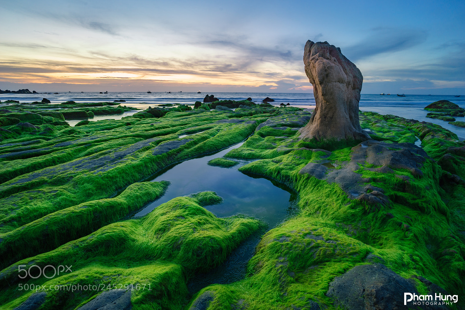 Sony a7 sample photo. Ancient rock and moss photography