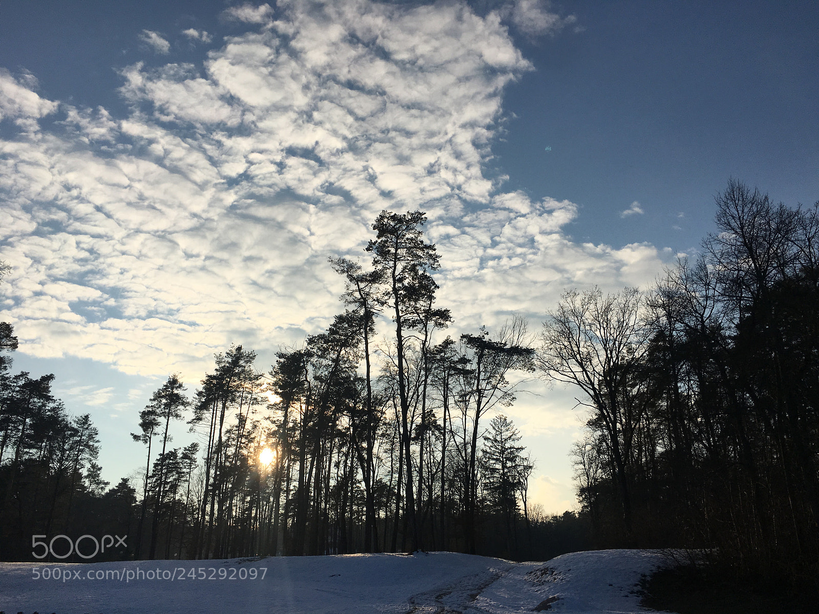 Apple iPhone 6s sample photo. Winter wonderland photography