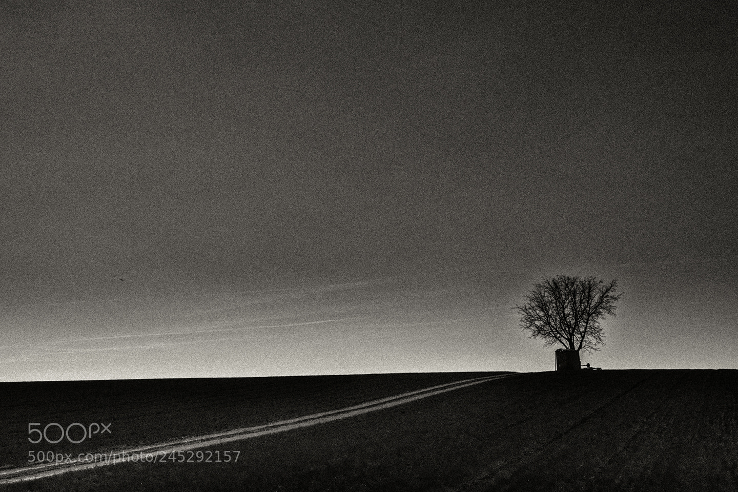 Fujifilm X-T1 sample photo. Campos de zamora photography