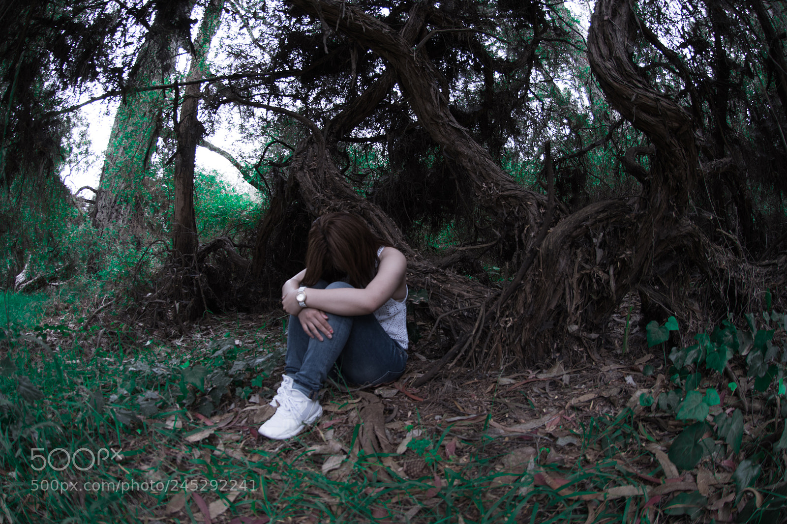 Nikon D810 sample photo. Wild survival guide photography