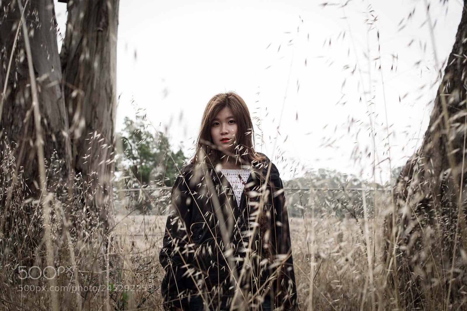 Nikon D810 sample photo. Wild survival guide photography