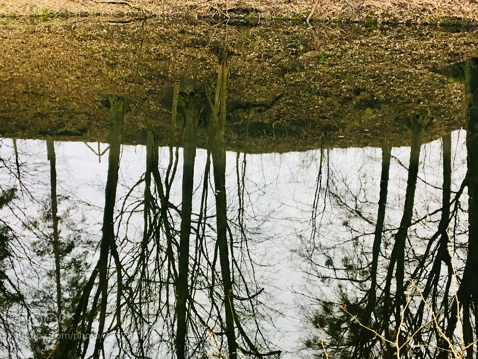 Apple iPhone 6s sample photo. Untitled photography