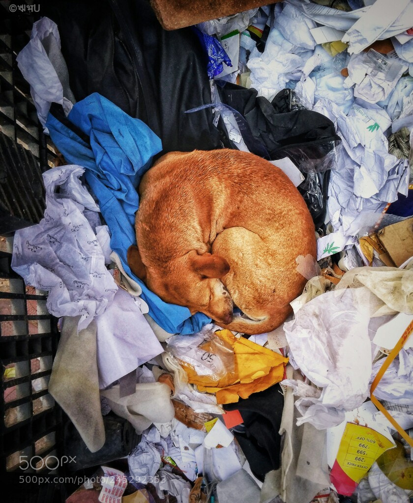 Xiaomi Redmi 4A sample photo. Rags photography