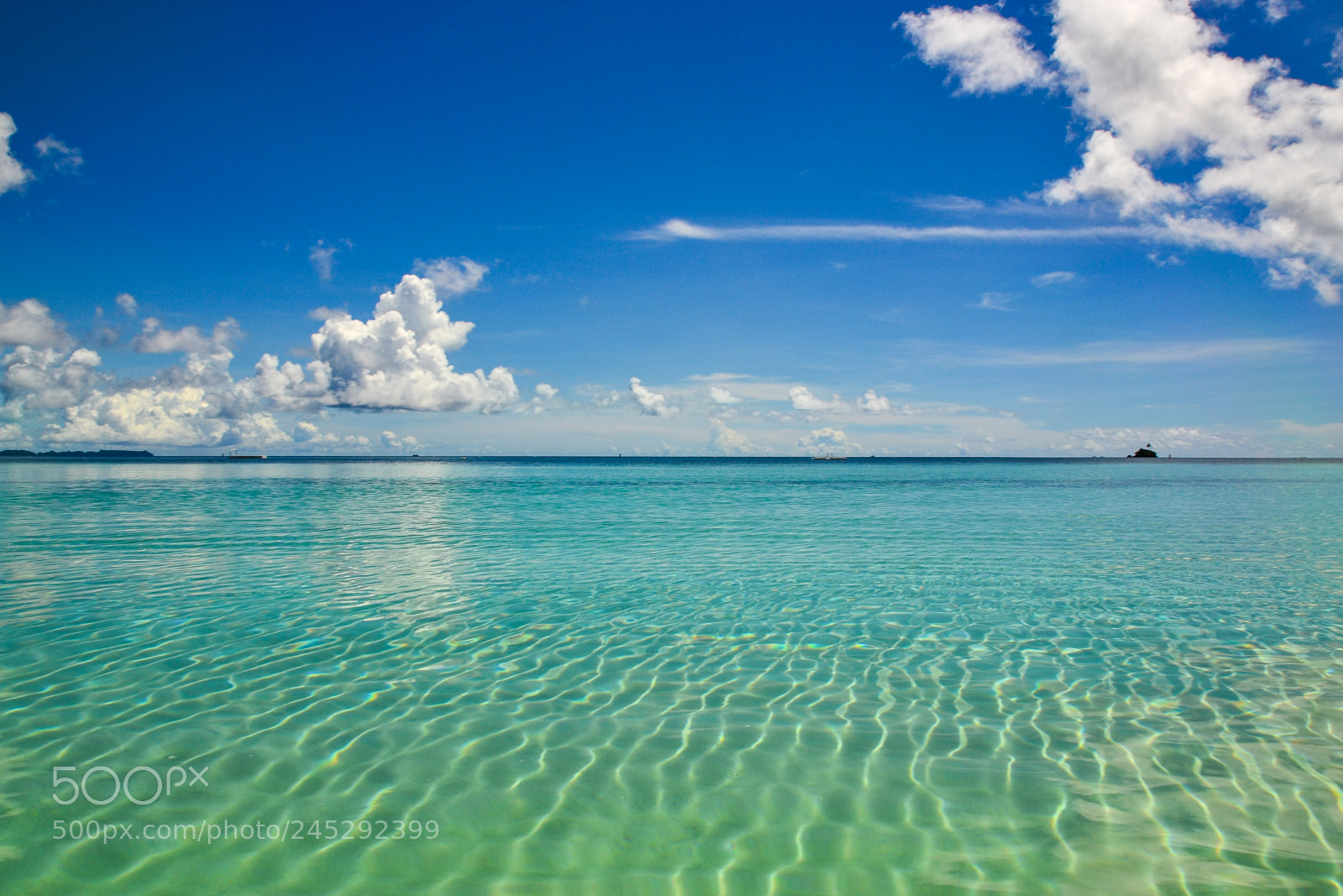 Nikon D3100 sample photo. Clean ocean of palau photography