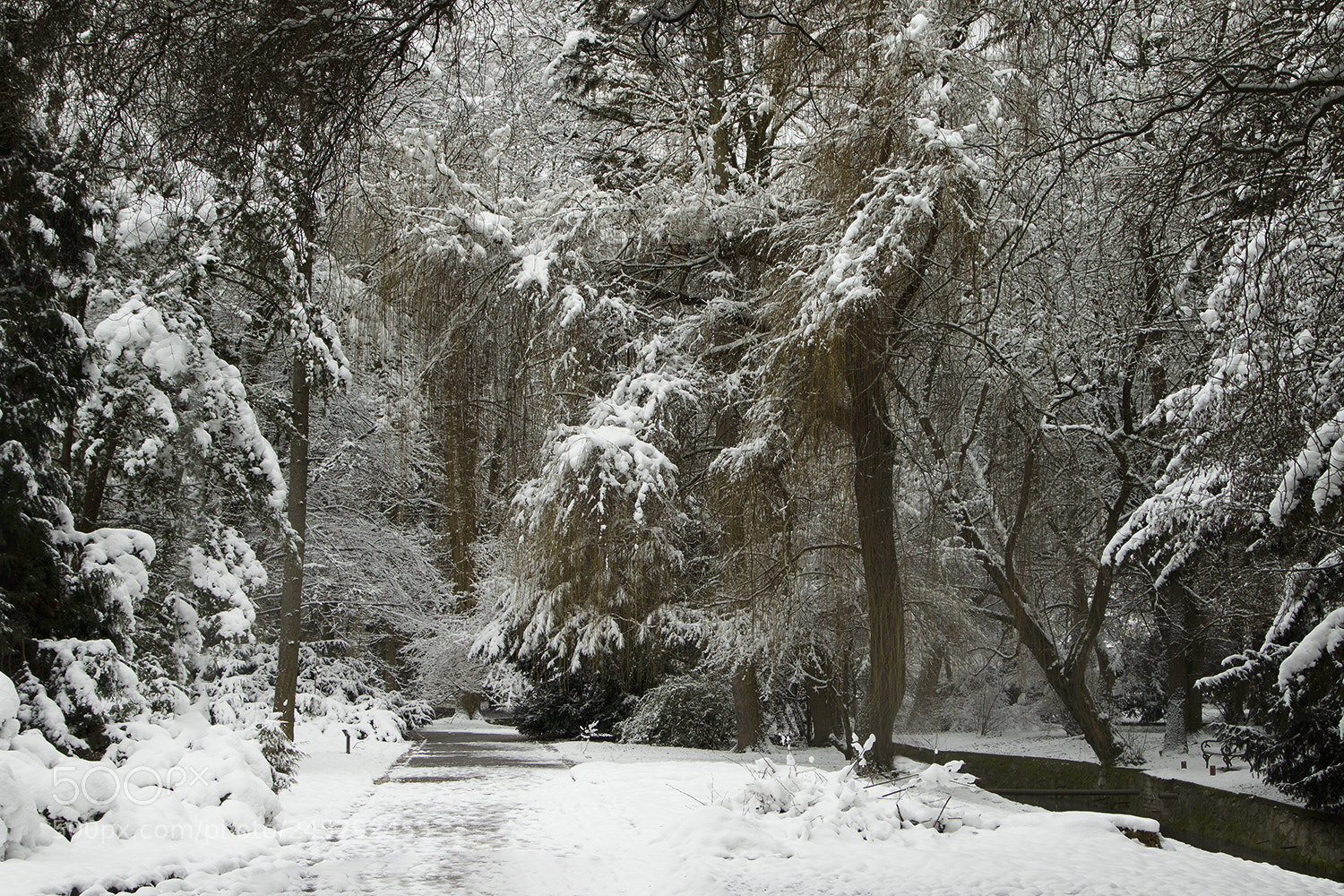 Canon EOS 7D Mark II sample photo. Winter tales photography