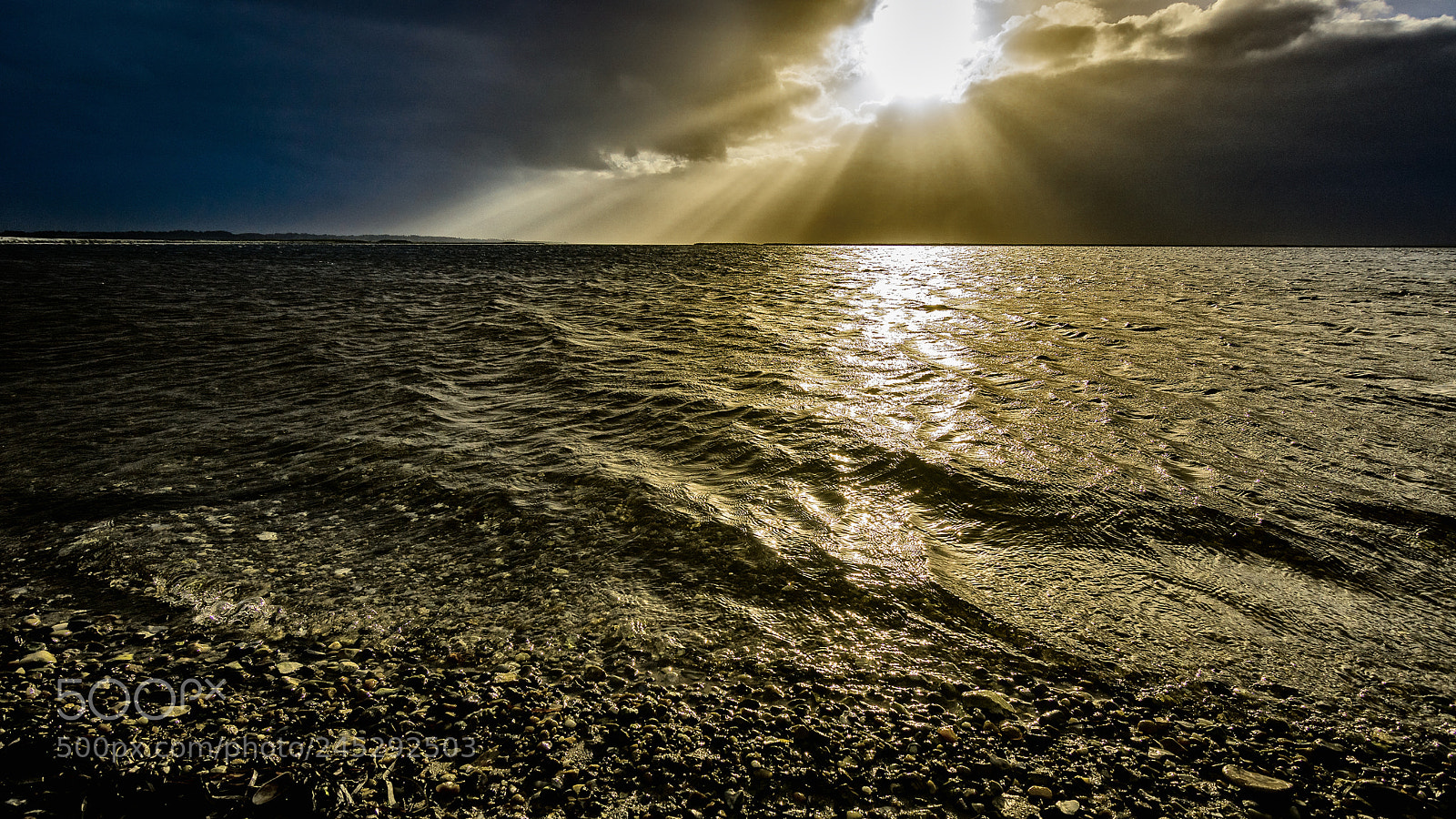 Sony ILCA-77M2 sample photo. Weather containing gold photography