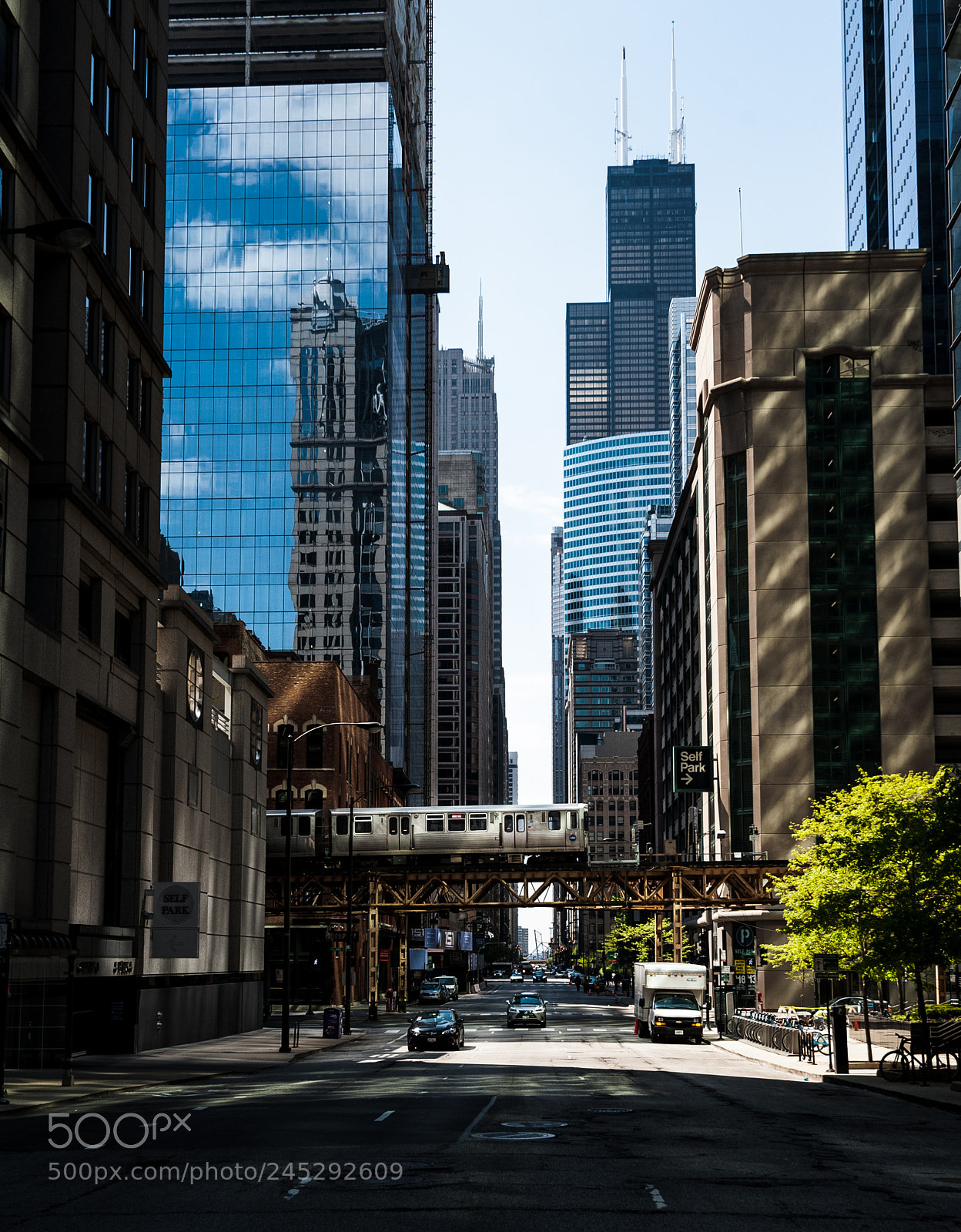 Nikon D700 sample photo. Sears from here photography