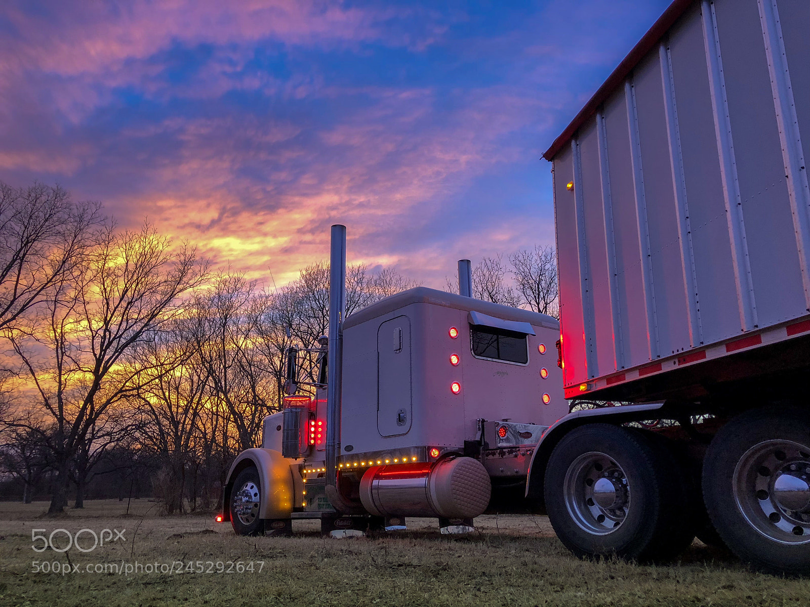 Apple iPhone X sample photo. At the pecan orchard photography