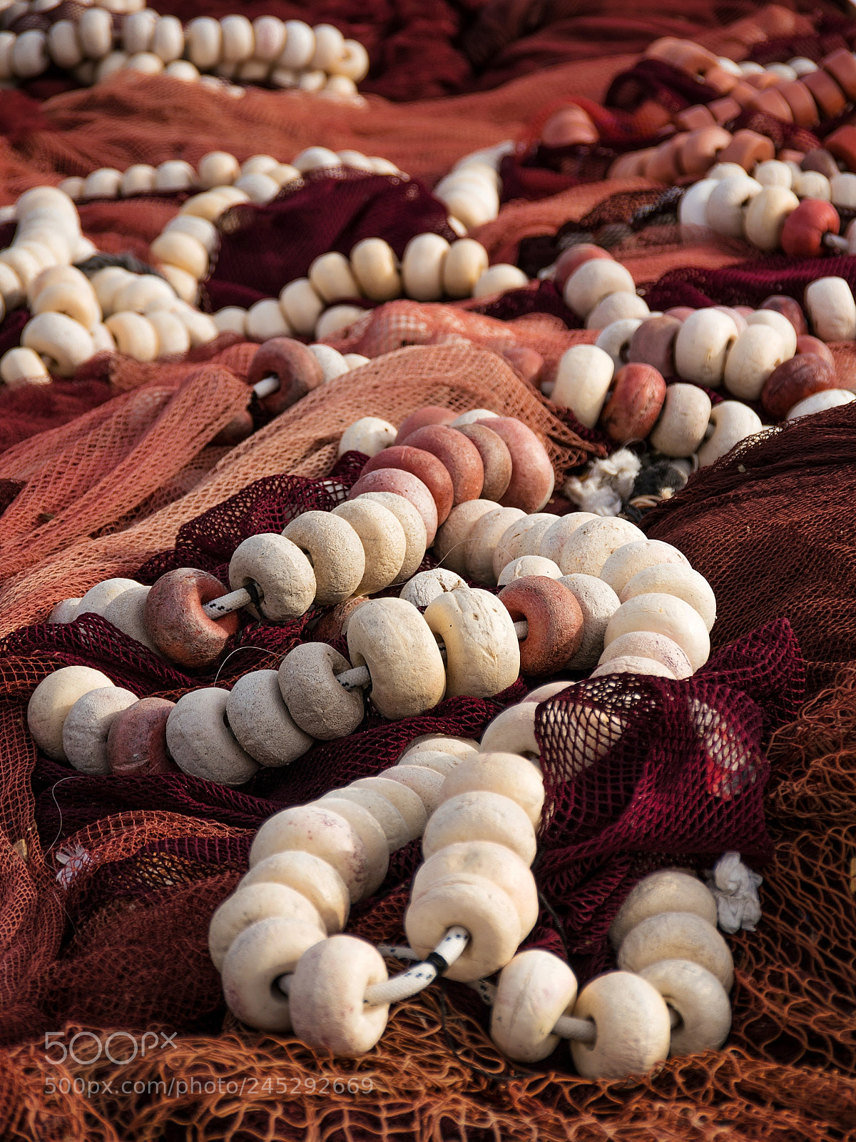 Pentax K-70 sample photo. Sea worms photography
