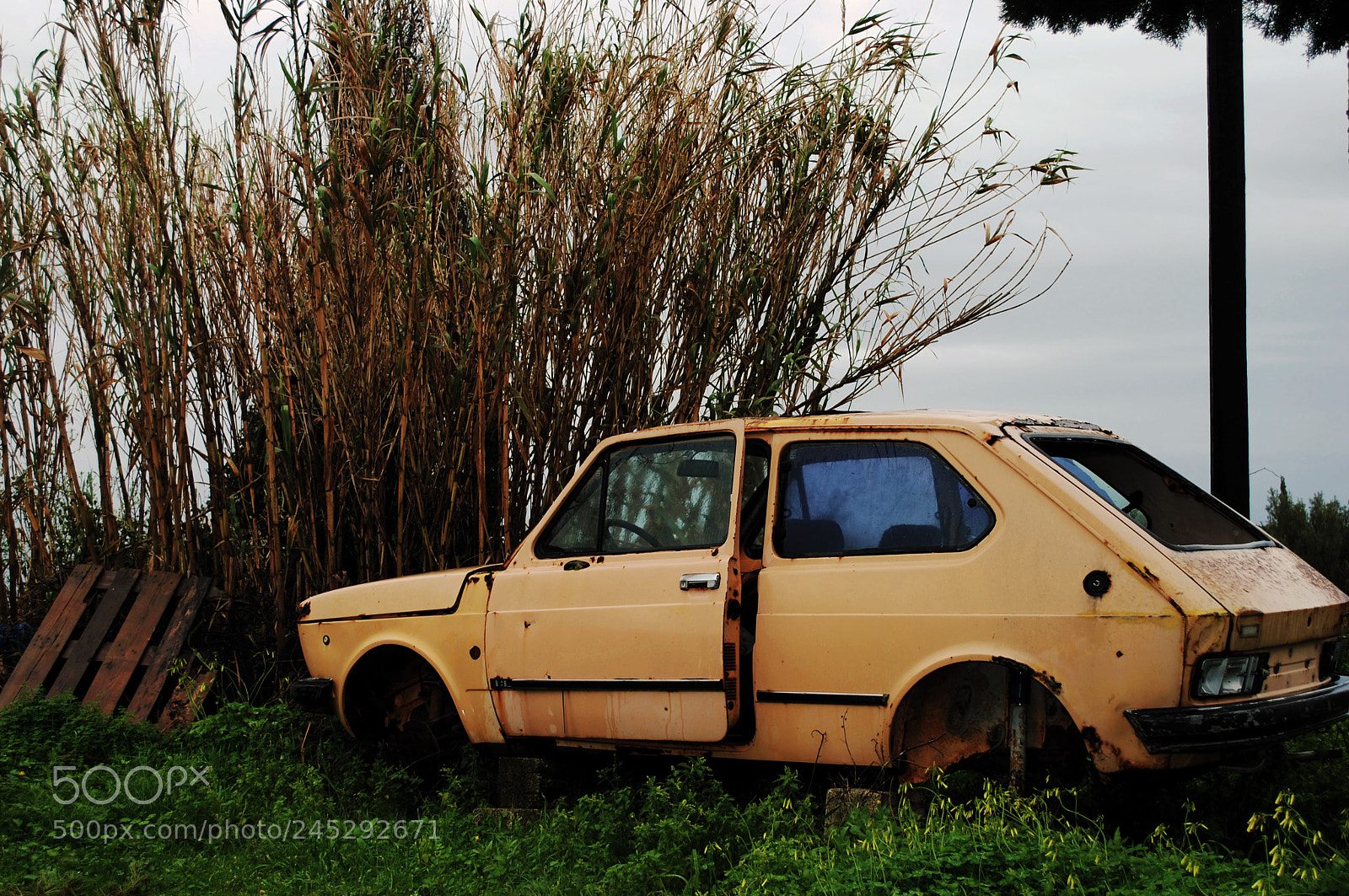 Nikon D3000 sample photo. Old car photography