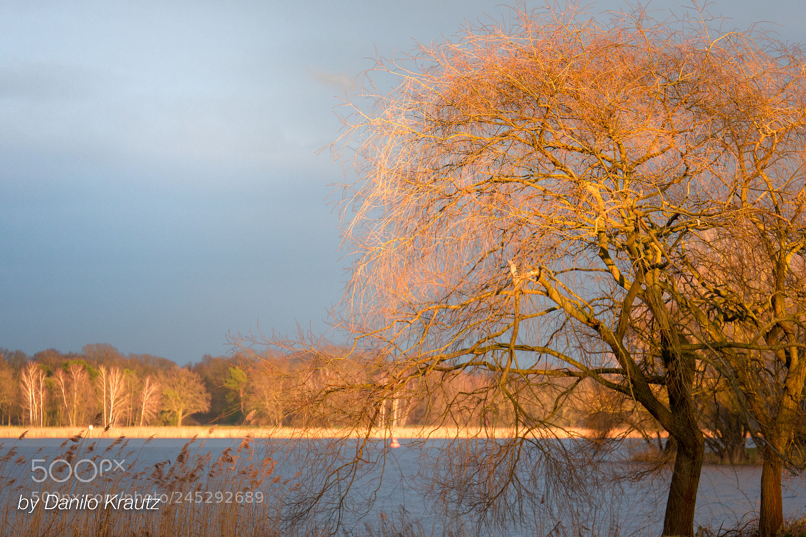 Panasonic Lumix DMC-G6 sample photo. Jungfernsee potsdam photography