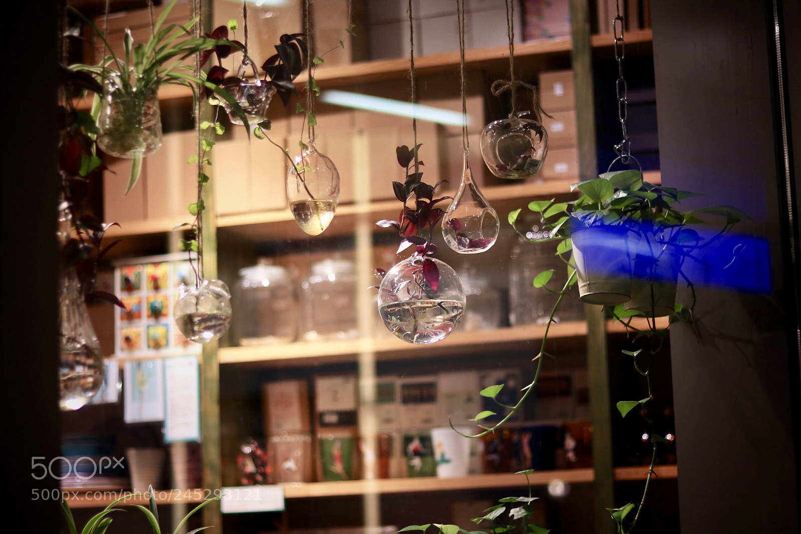 Canon EOS M5 sample photo. Mystery? photography