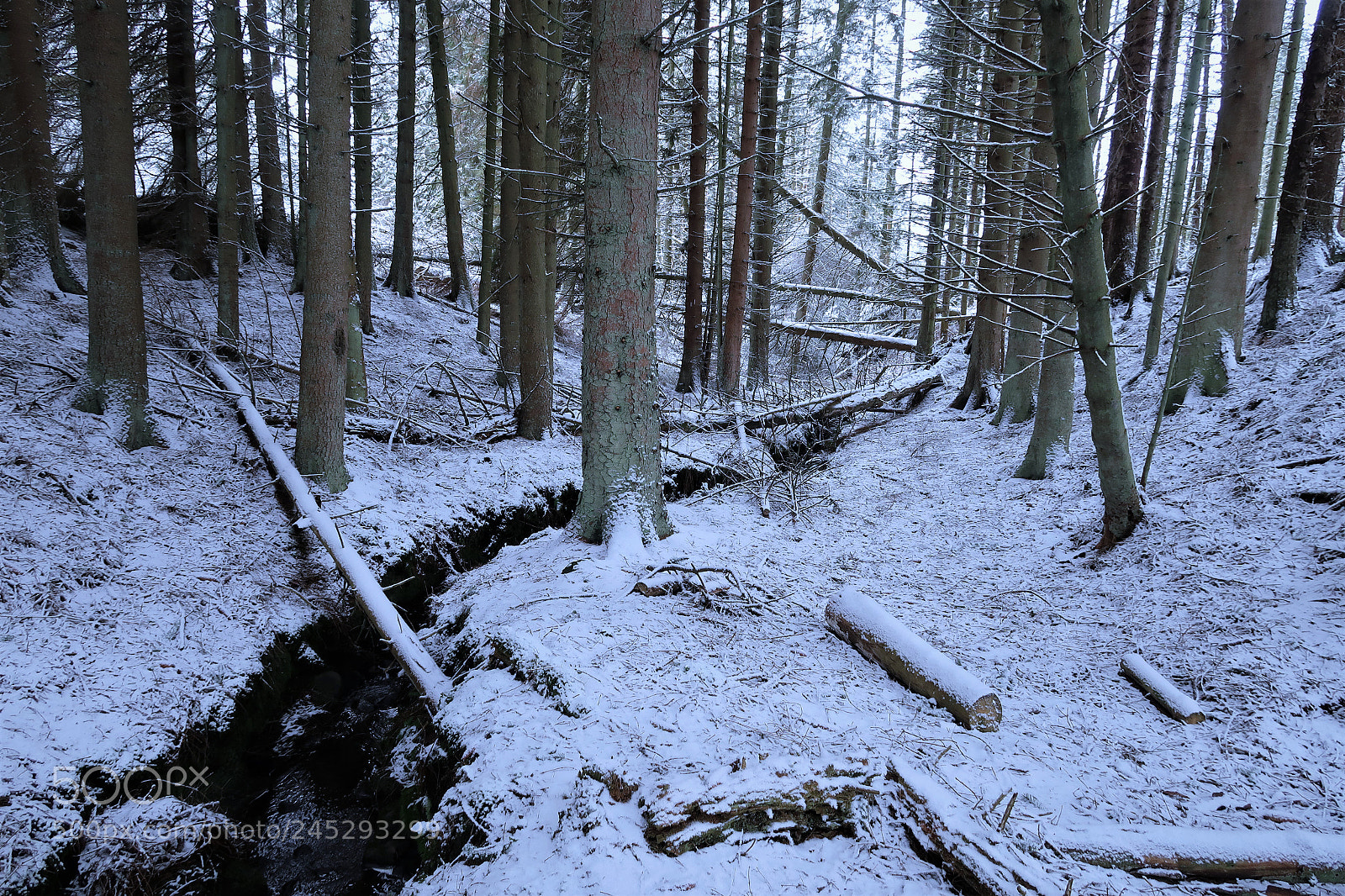 Canon PowerShot G7 X Mark II sample photo. Snowy stream photography