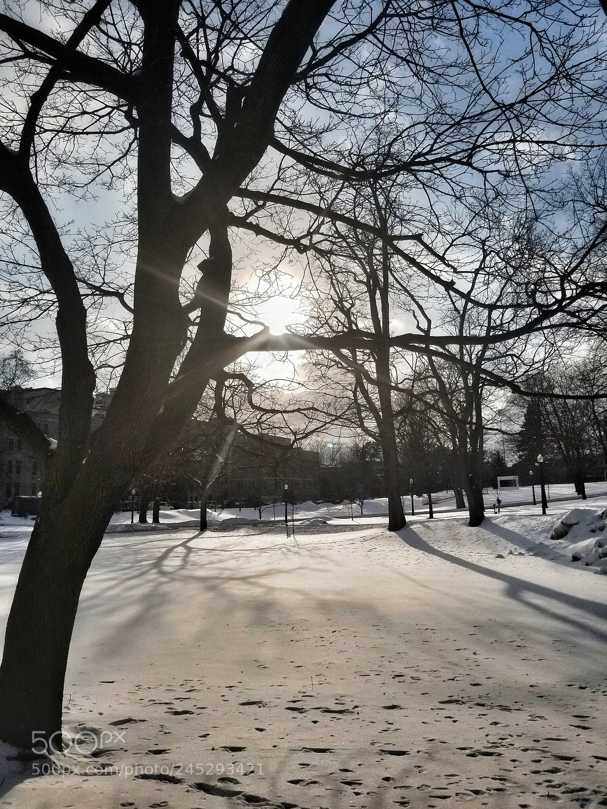 Samsung Galaxy S8+ sample photo. Untitled photography