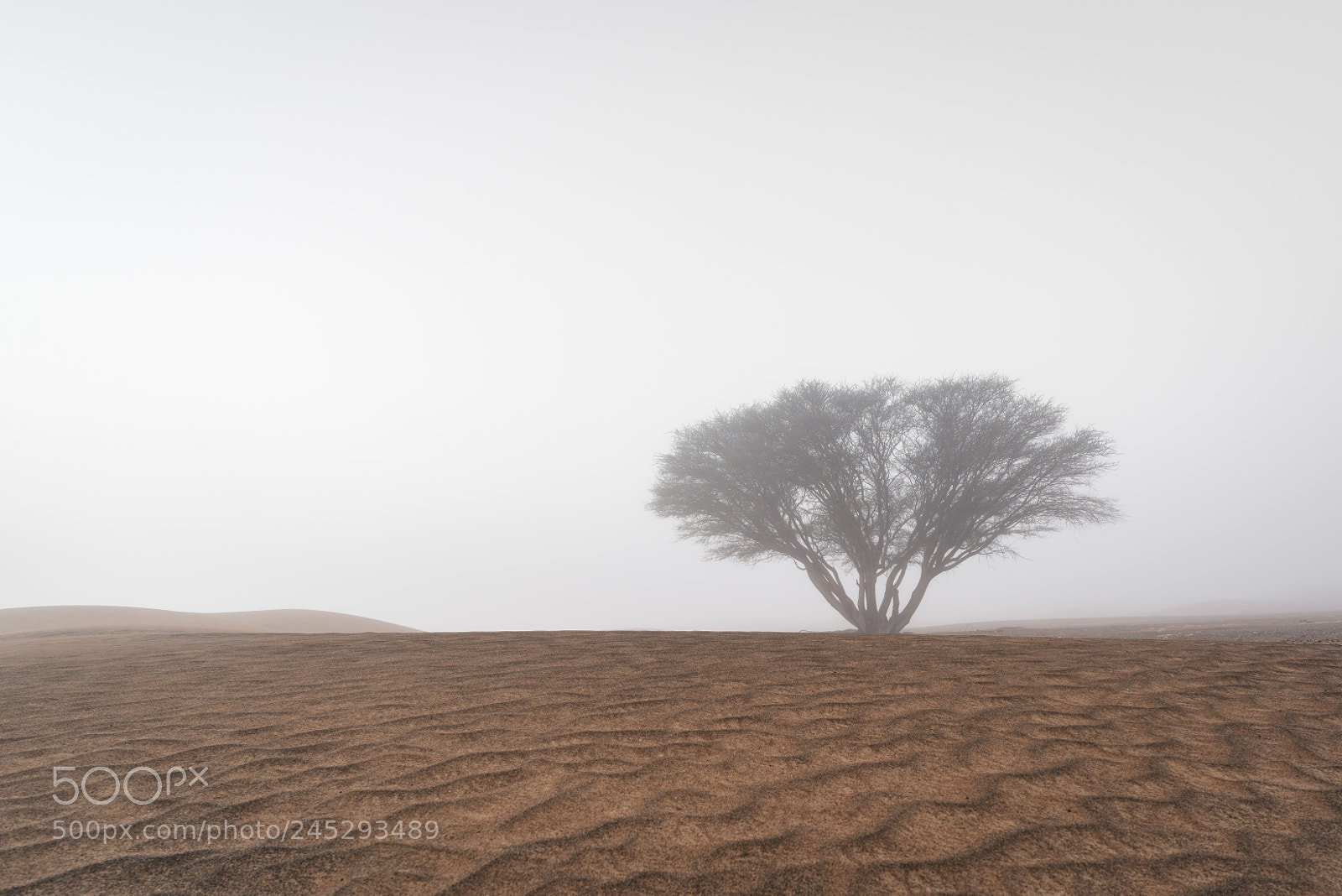 Sony a7R II sample photo. Sharjah 2 photography