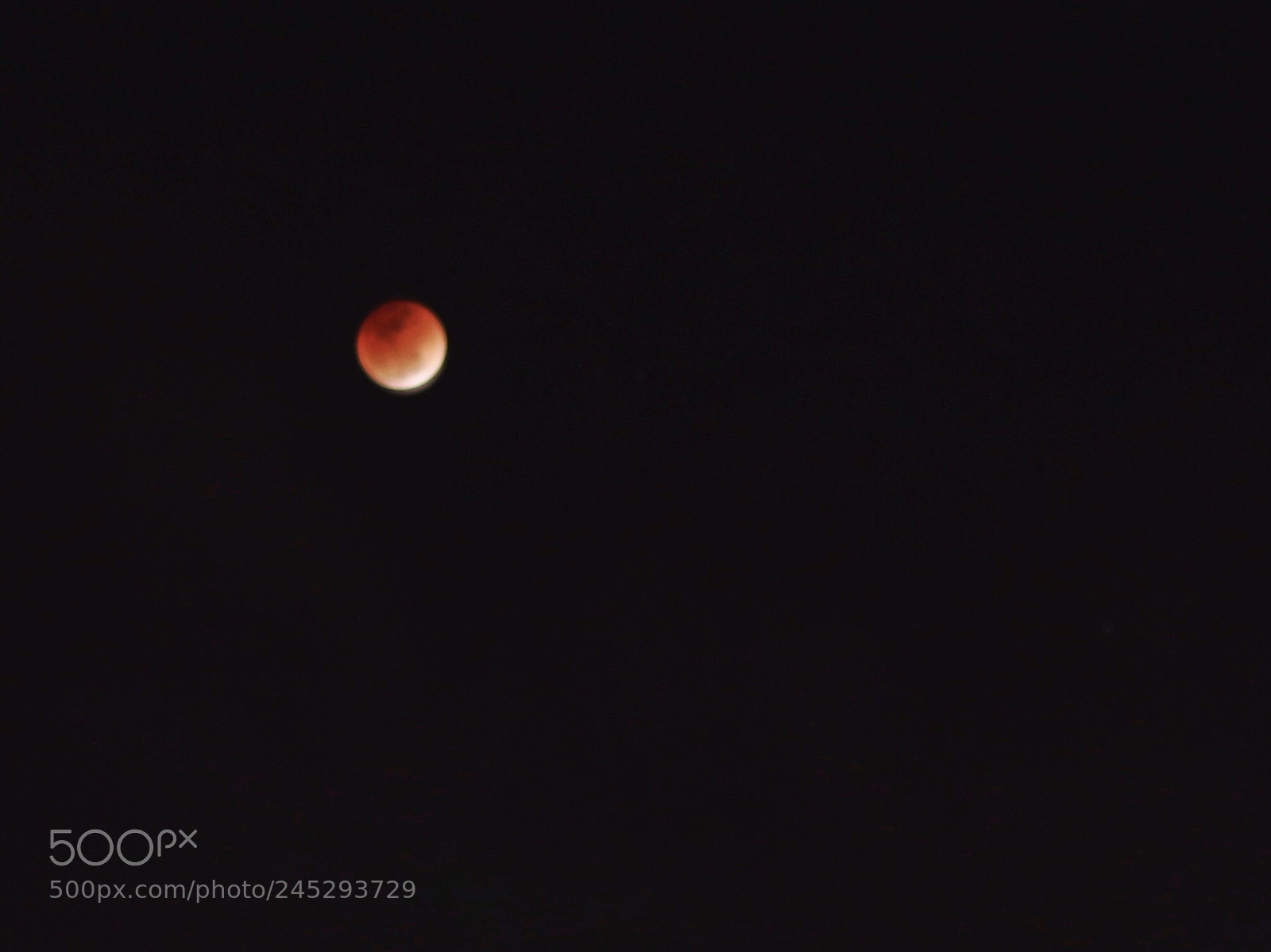 Canon EOS M5 sample photo. Once in a red photography