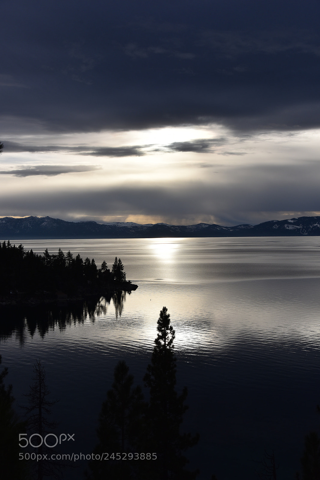 Nikon D810 sample photo. Untitled photography