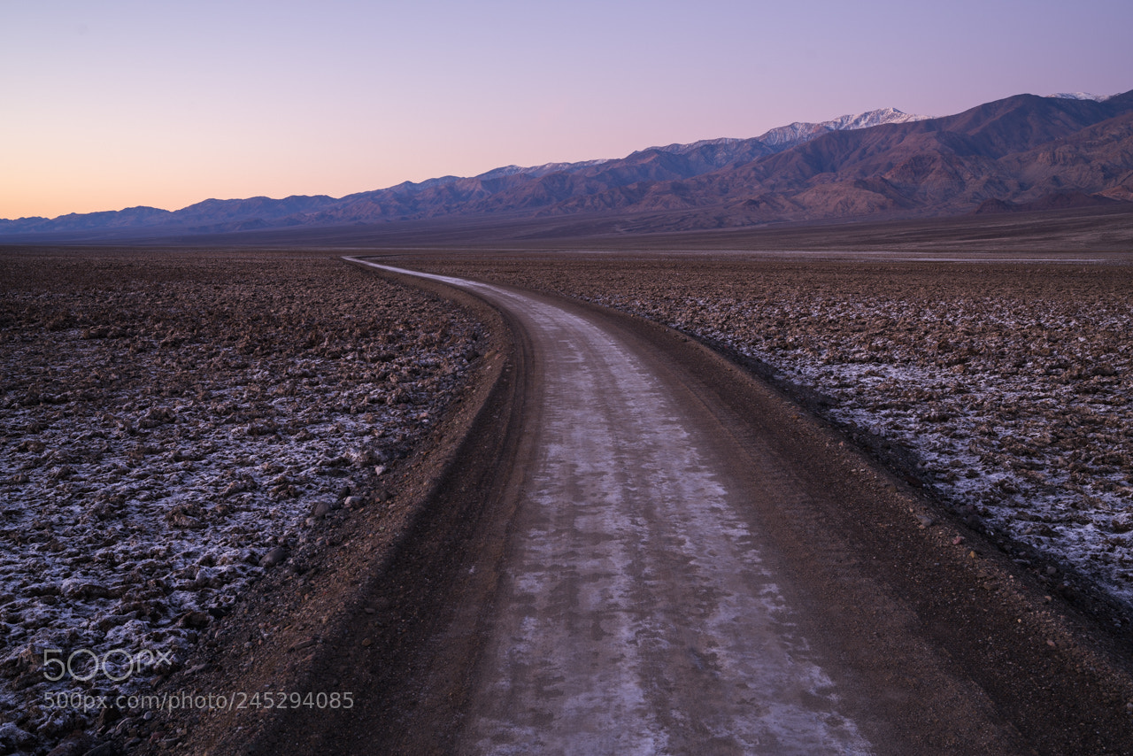 Sony a7R II sample photo. Winding road photography