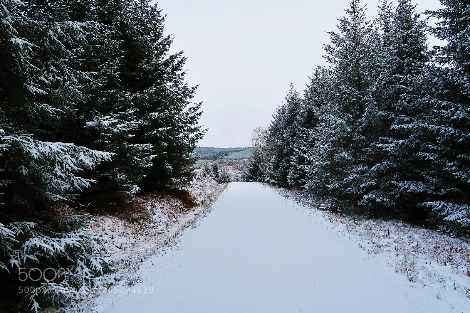 Canon PowerShot G7 X Mark II sample photo. Snowy pathway photography