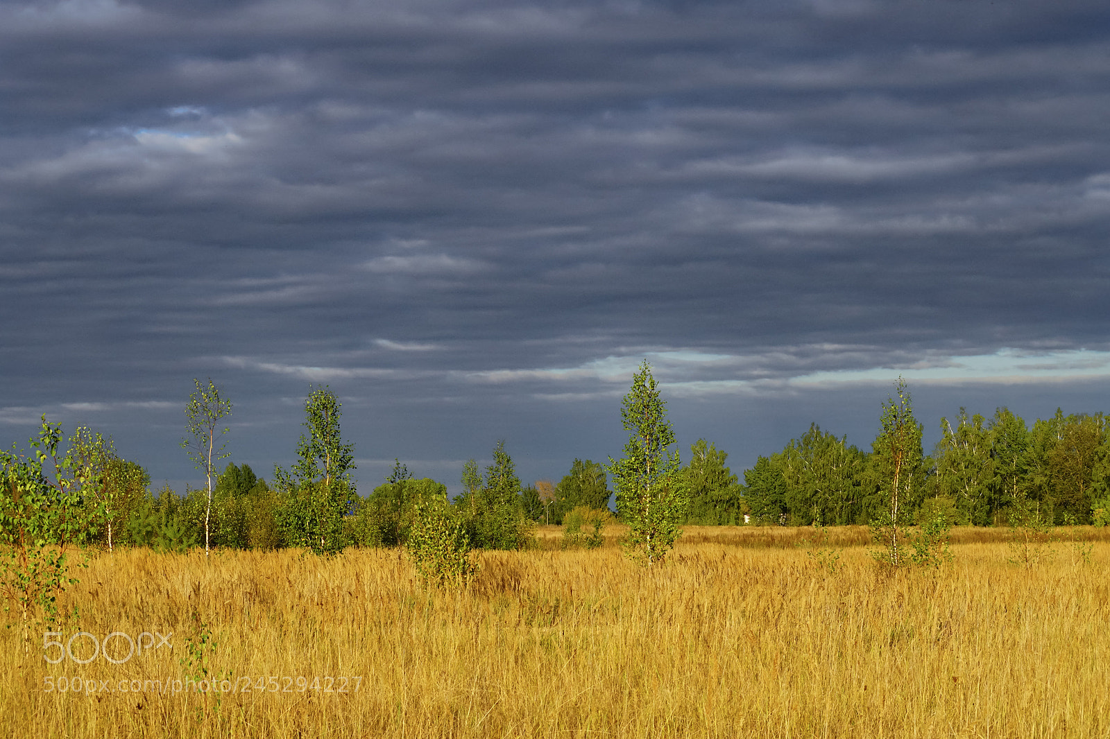 Sony ILCA-77M2 sample photo. Autumn begins photography
