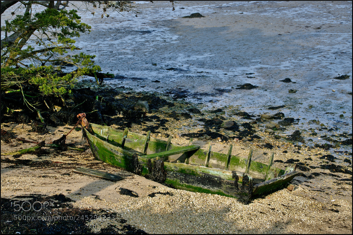 Pentax K20D sample photo. Barque #2 photography
