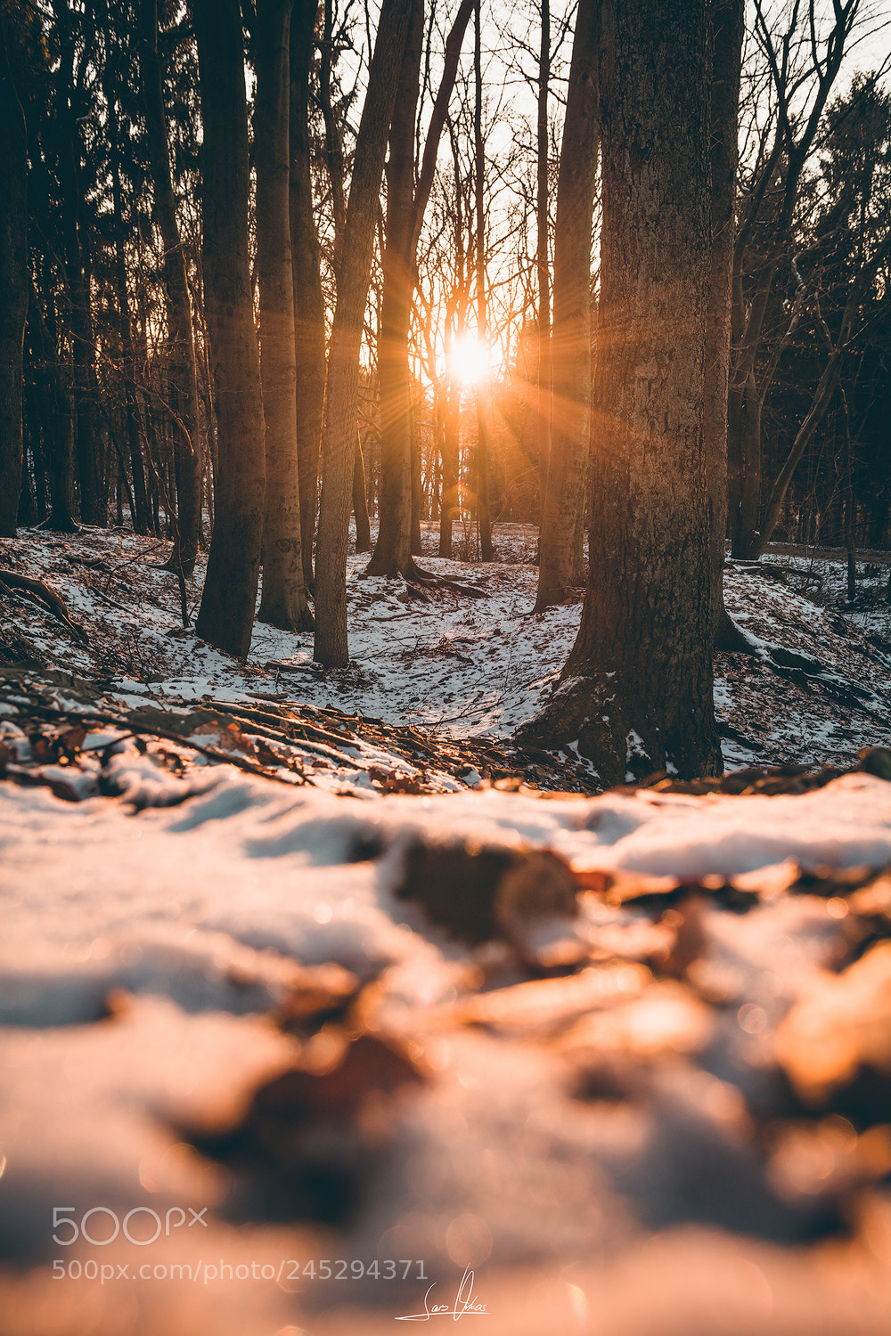 Nikon D7100 sample photo. Winter sun photography