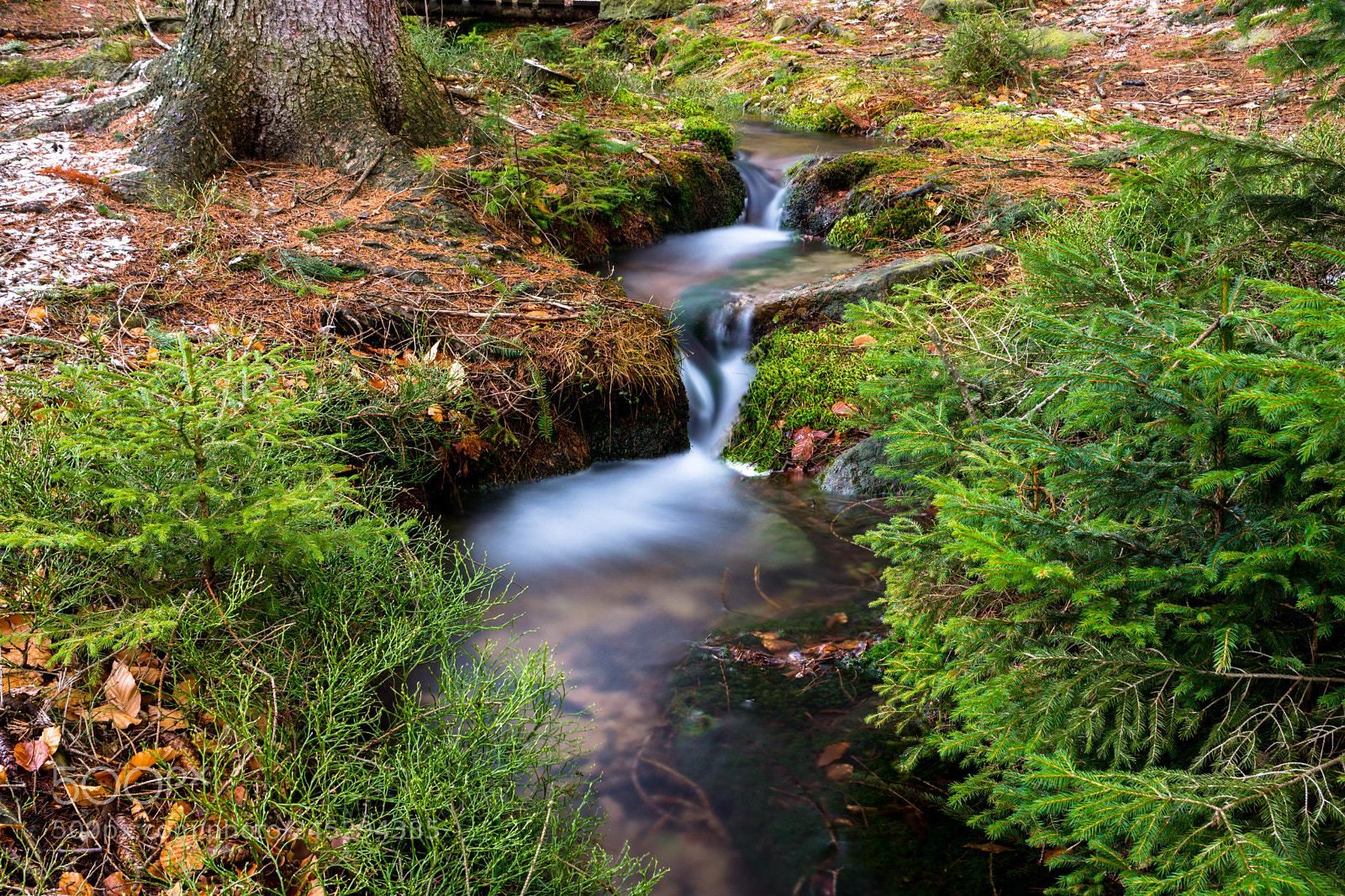 Nikon D7200 sample photo. White water photography