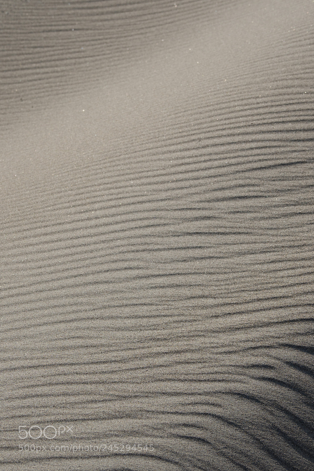 Olympus OM-D E-M1 Mark II sample photo. Wind photography