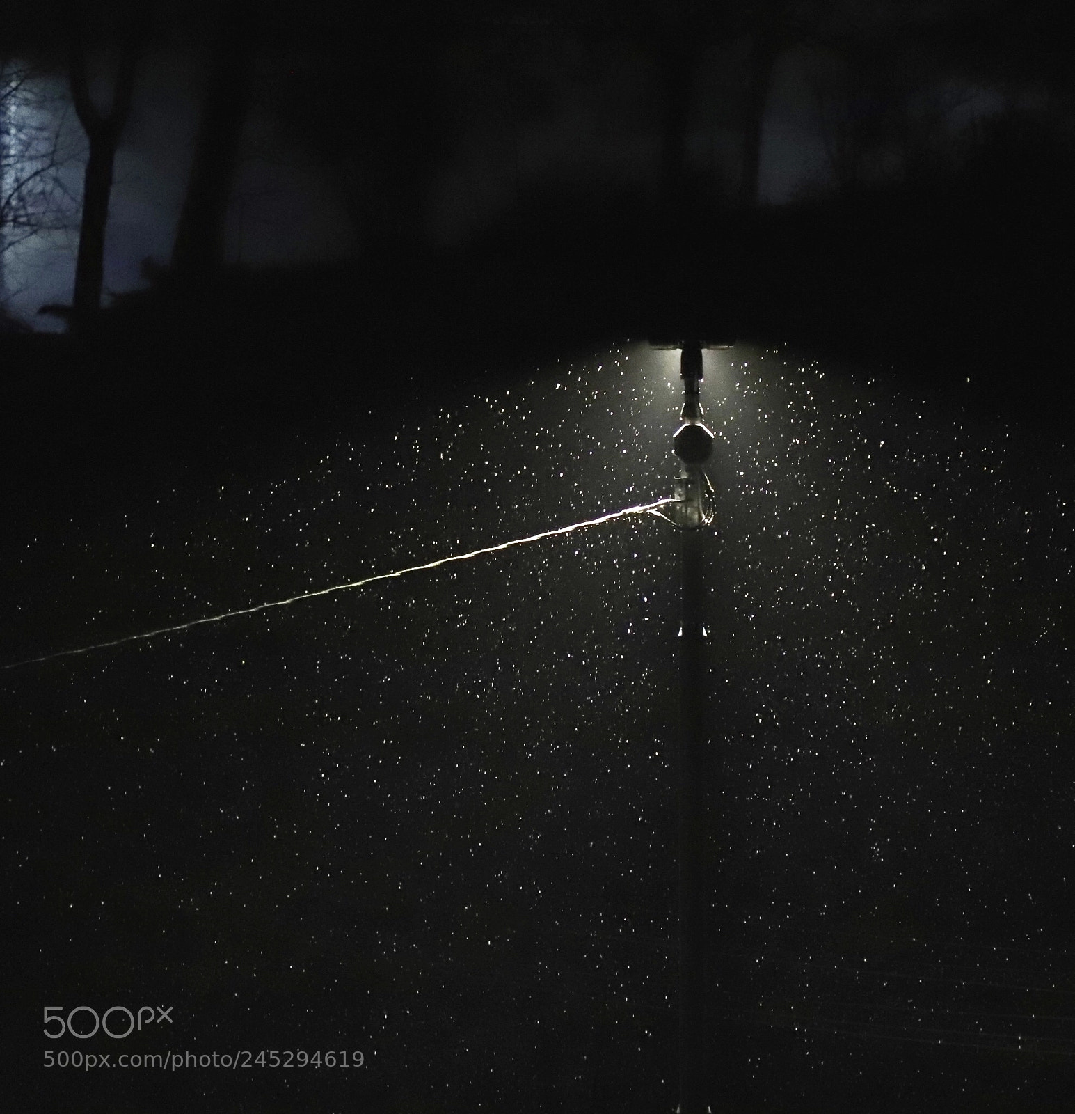 Canon EOS 6D Mark II sample photo. Last snowfall photography