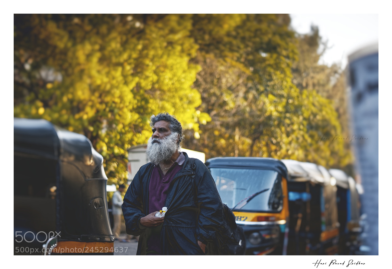 Sony SLT-A57 sample photo. "somebody" photography