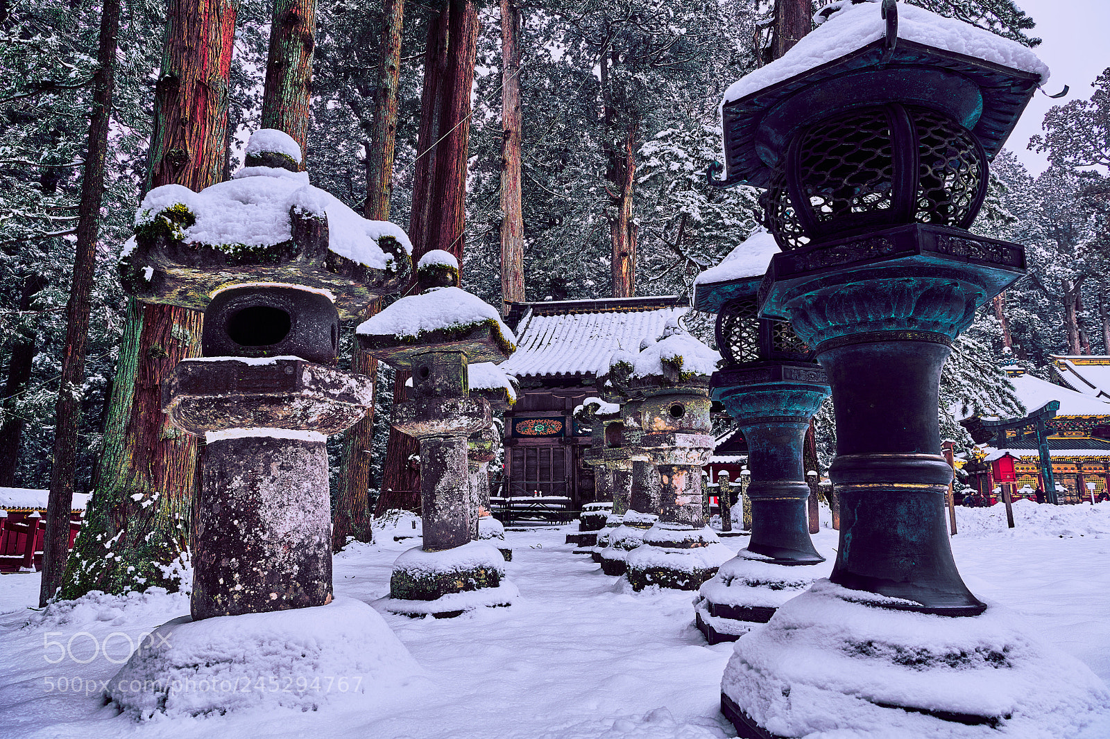 Nikon D850 sample photo. Tōrō photography