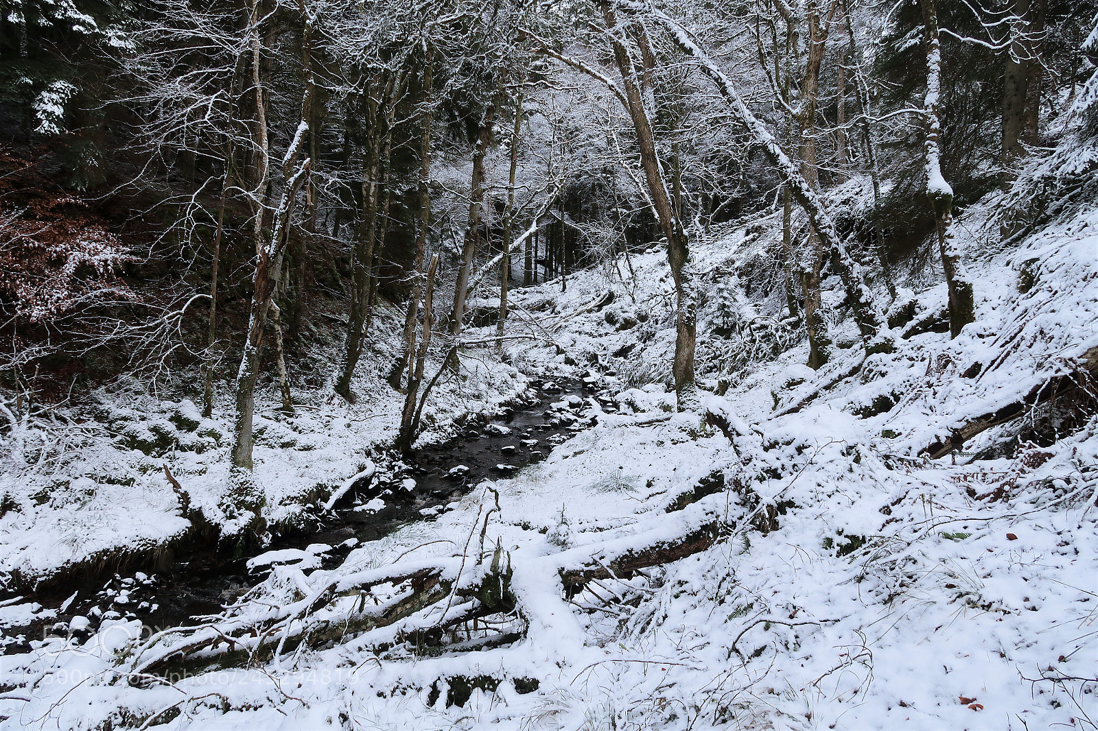 Canon PowerShot G7 X Mark II sample photo. River in winter photography