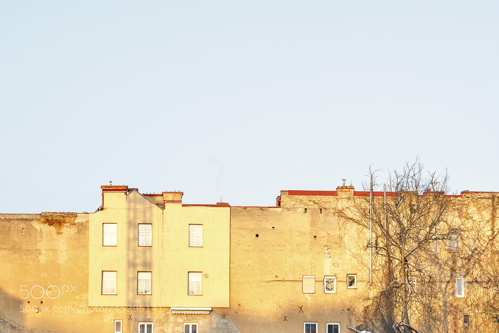 Nikon D610 sample photo. Sunny day in old photography