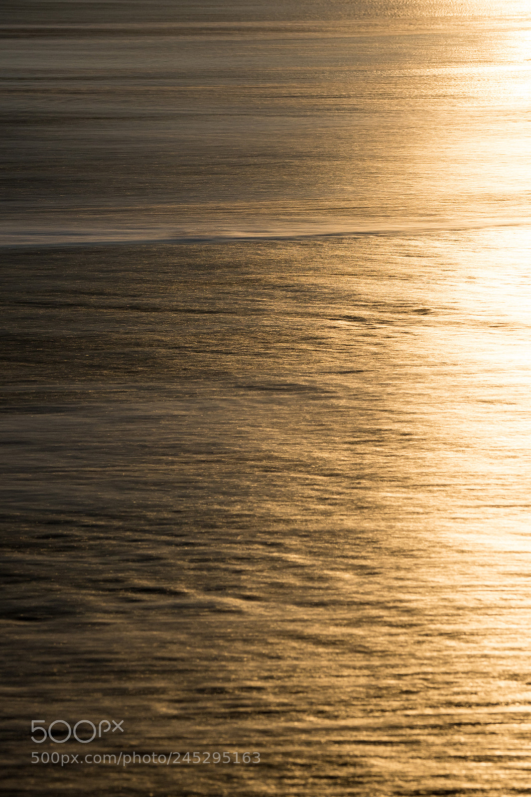 Olympus OM-D E-M1 Mark II sample photo. Pattern photography