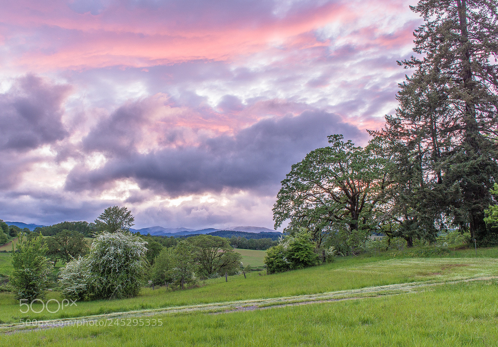 Nikon D600 sample photo. A storm is brewing photography