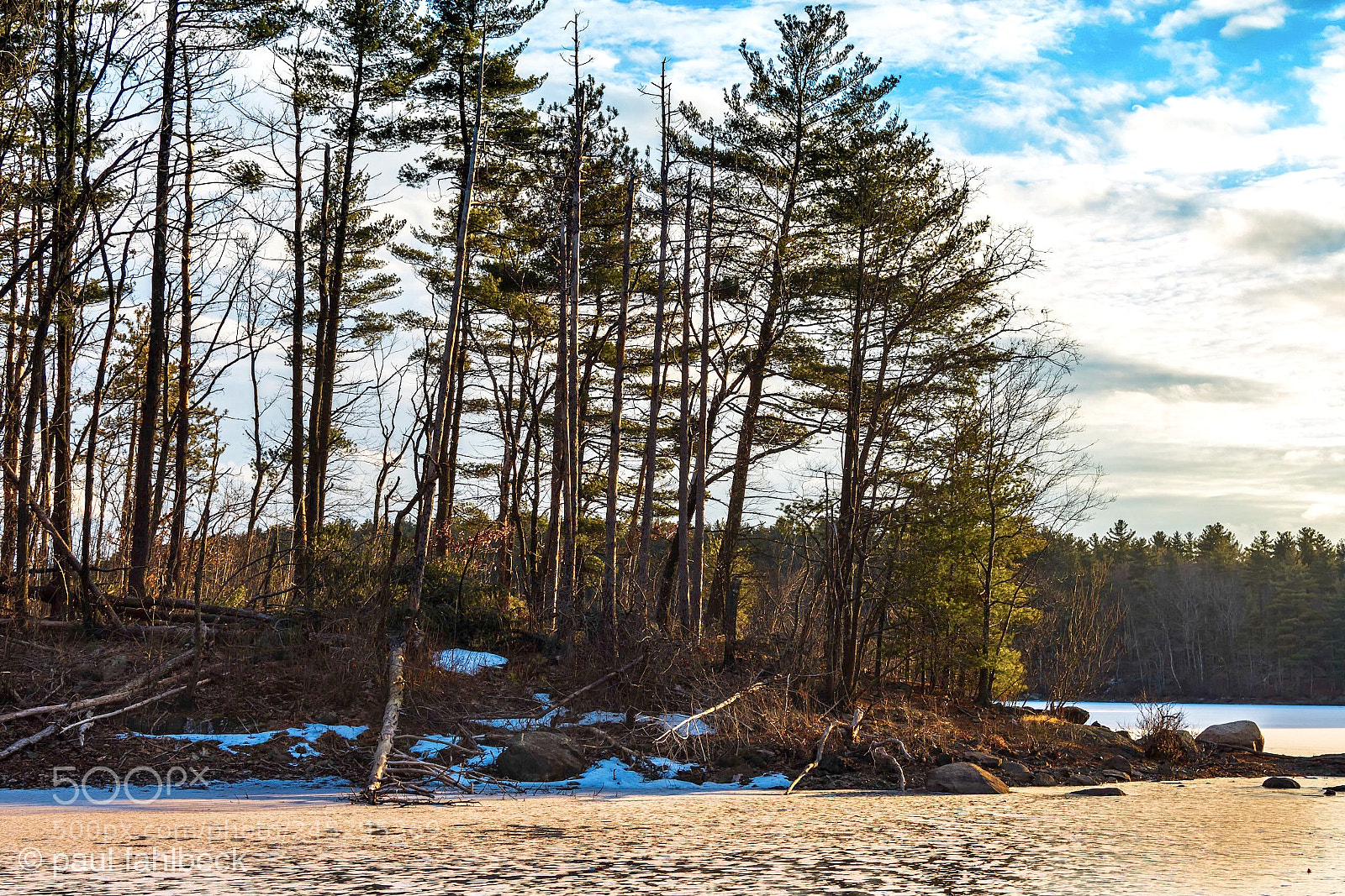 Nikon D7200 sample photo. Patch of blue photography
