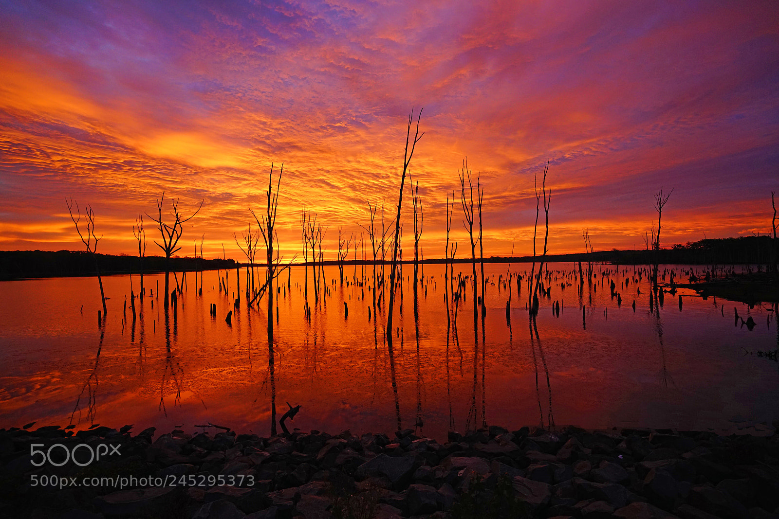 Sony a7R II sample photo. Orange splendor before dawn photography