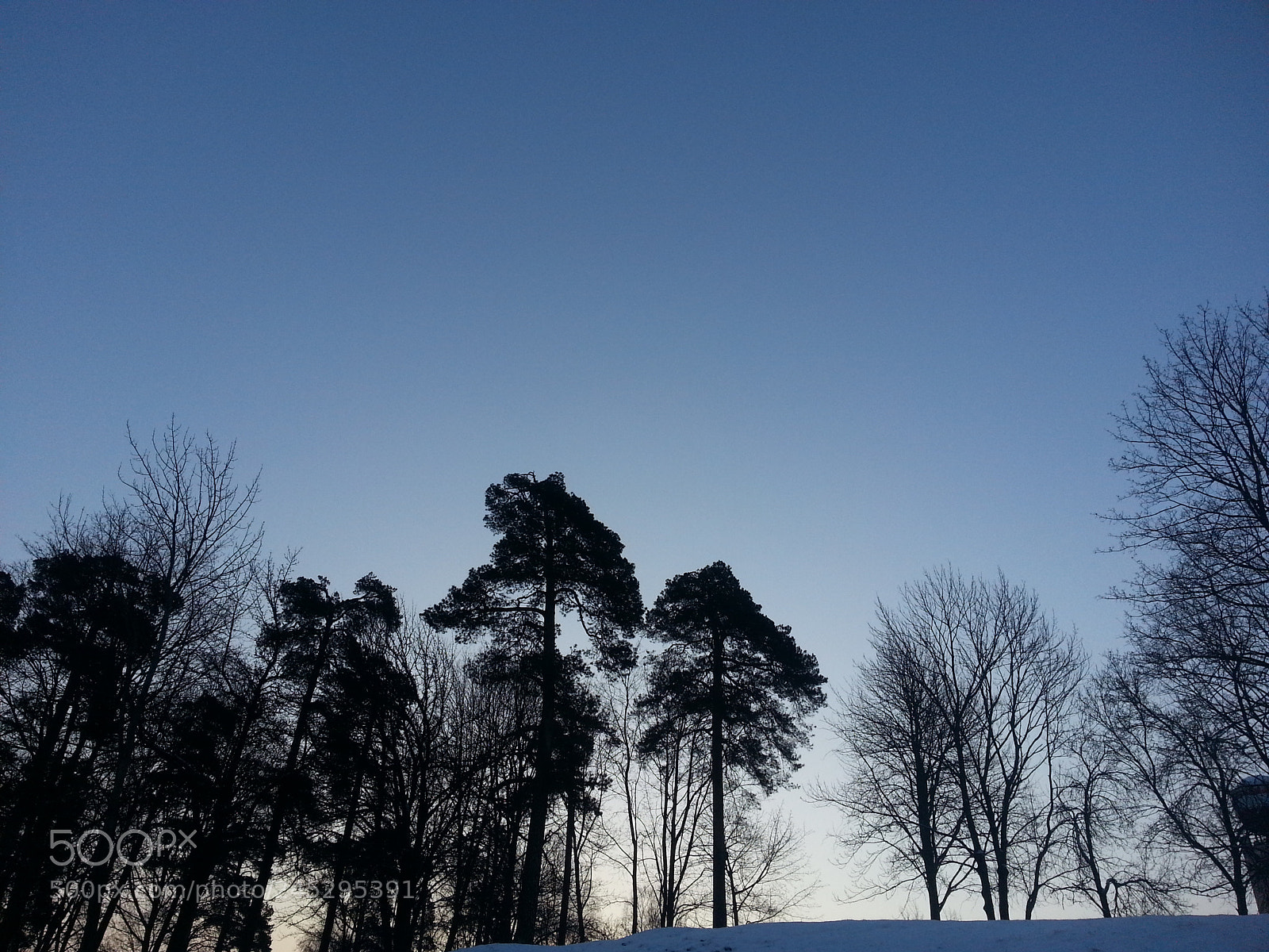 Samsung Galaxy Note2 sample photo. Morning)) photography