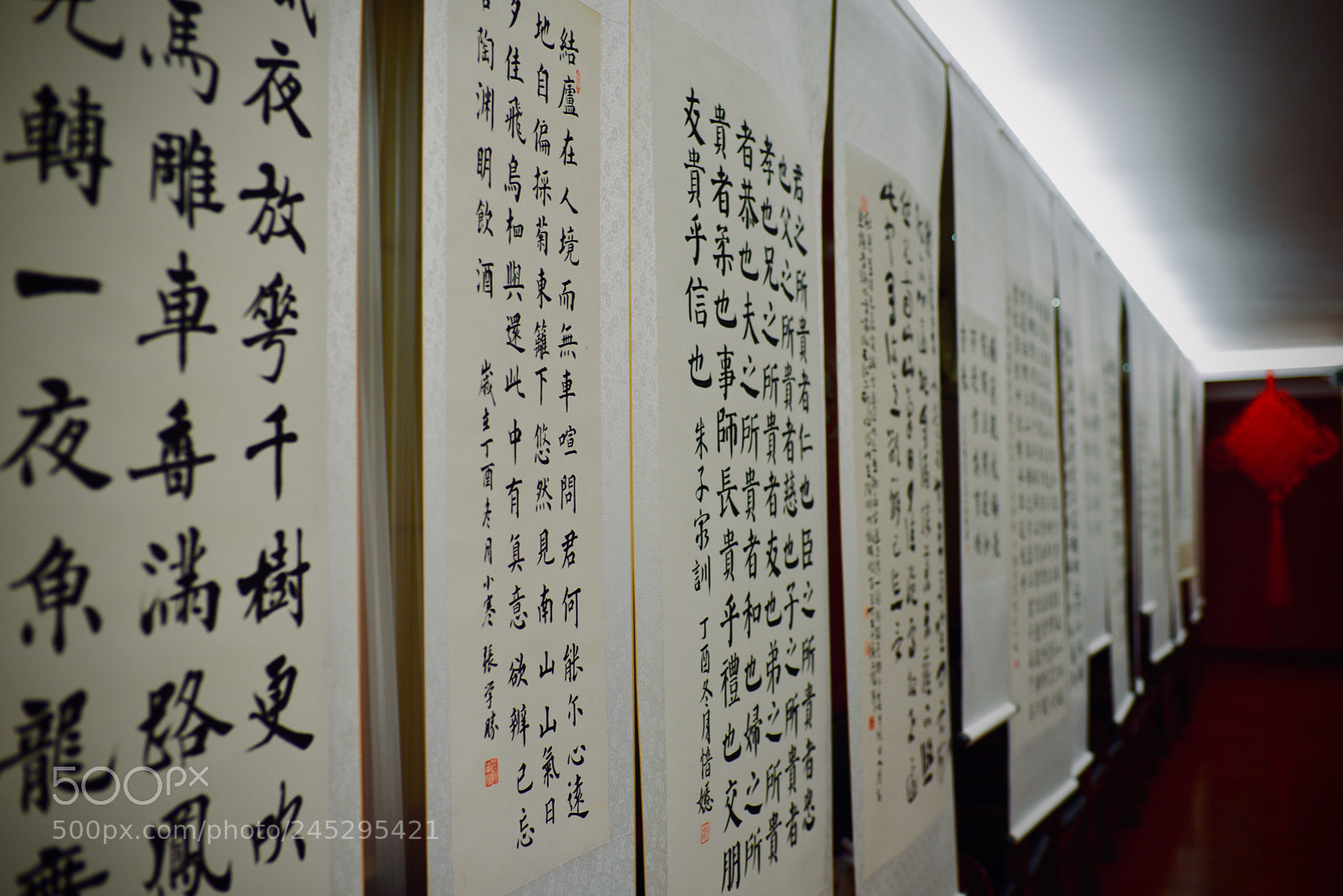 Nikon D610 sample photo. 书新年 photography