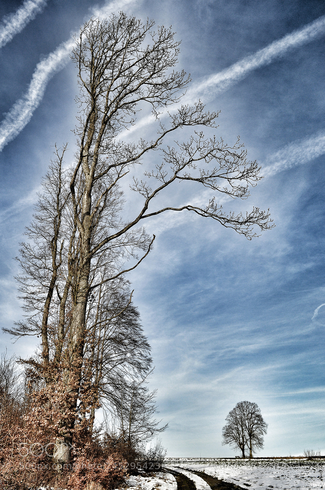 Nikon D90 sample photo. Blue sky photography
