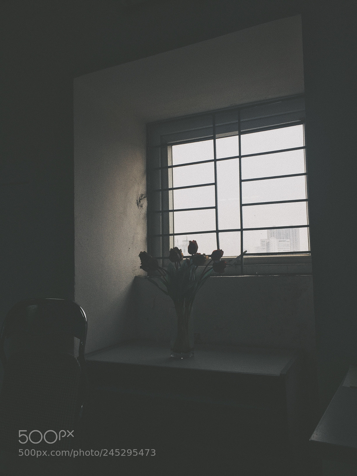 Apple iPhone 5s sample photo. Staring out my window photography