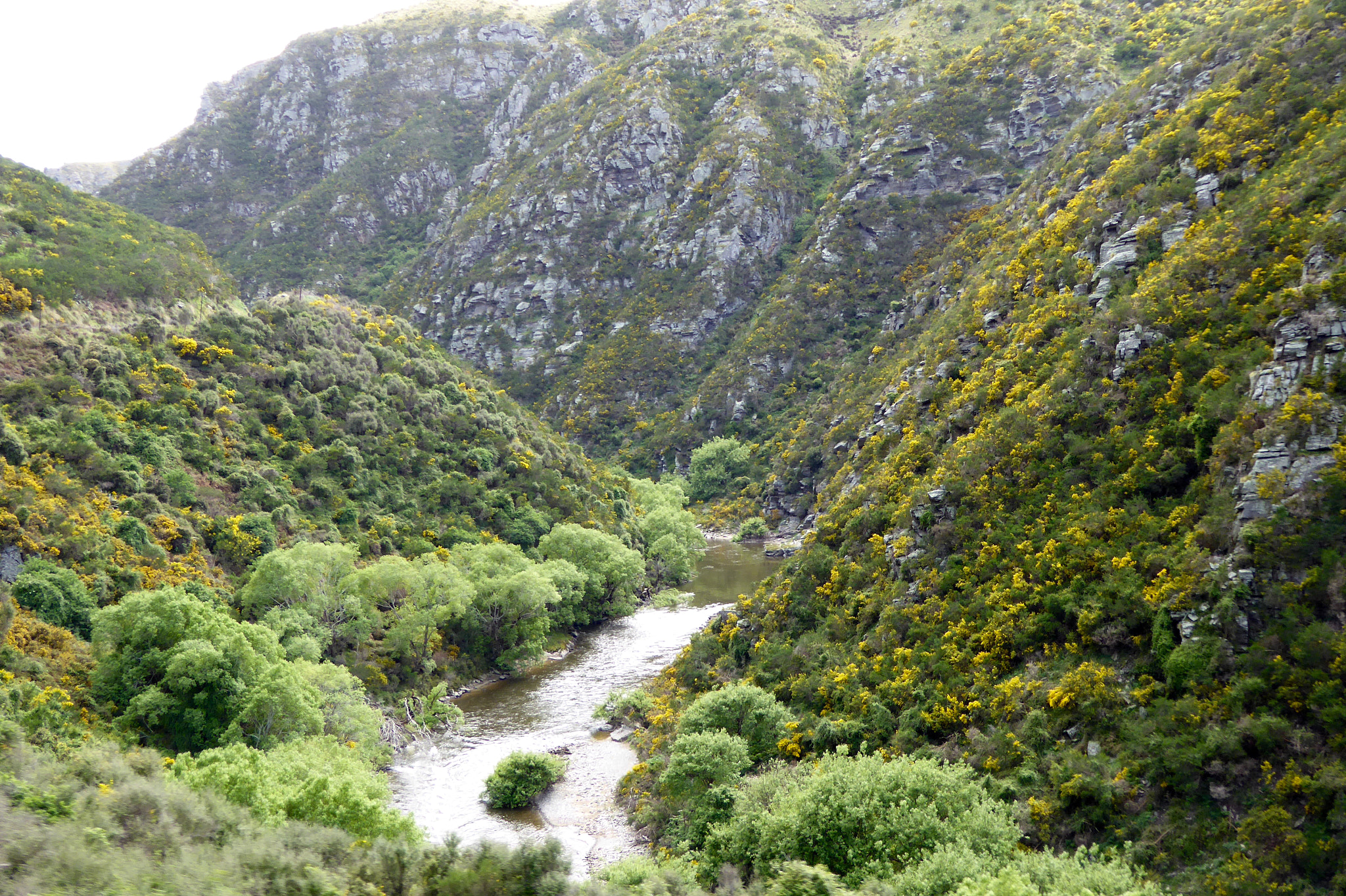 Panasonic Lumix DMC-ZS40 (Lumix DMC-TZ60) sample photo. Taieri gorge photography